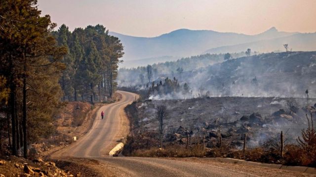 Dünya Genelinde Yaşanan İklim Krizi Alarm Veriyor