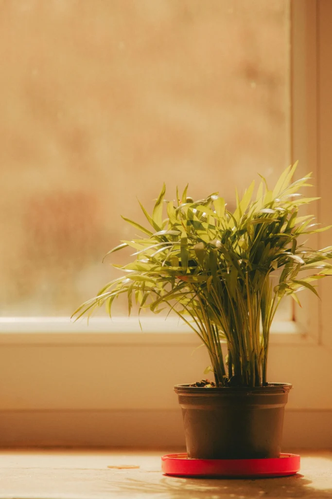 Oyun Dünyasında Yapay Zeka: 2024’te Akıllı Oyun Deneyimleri