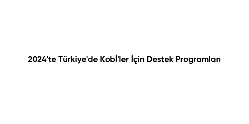 2024’te Türkiye’de Kobİ’ler İçin Destek Programları