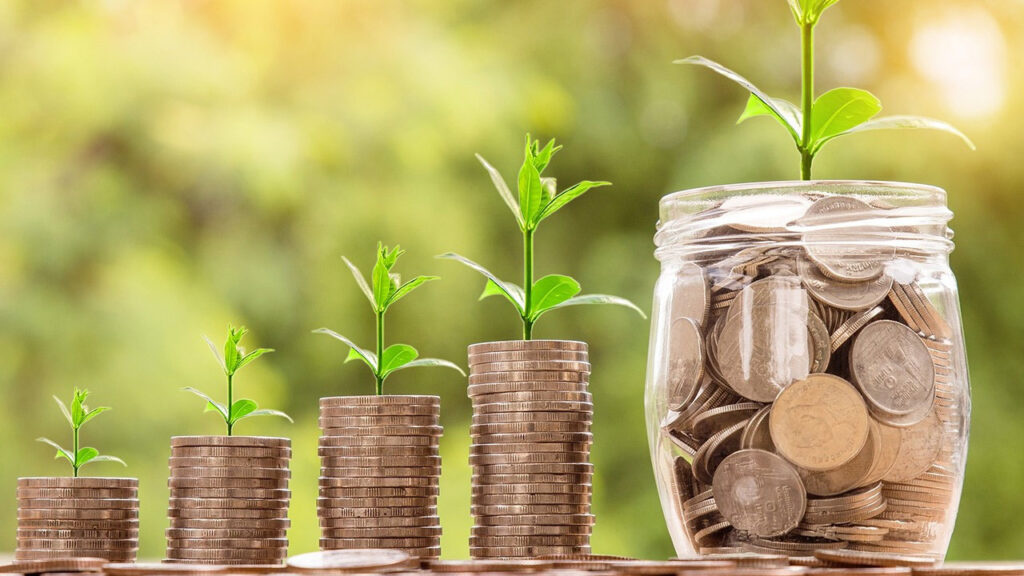 Enflasyonla Mücadelede Bireysel Tasarruf Yöntemleri