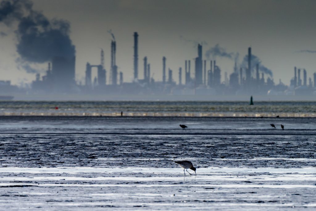 Soğuk Hava Dolaşım Sistemini Nasıl Etkiliyor?
