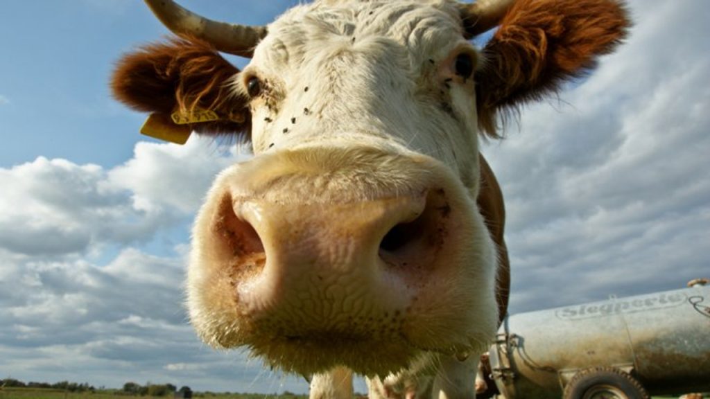 Genetik Bilimde Çığır Açan Gelişmeler: Kişiye Özel Tedavi Dönemi Başlıyor