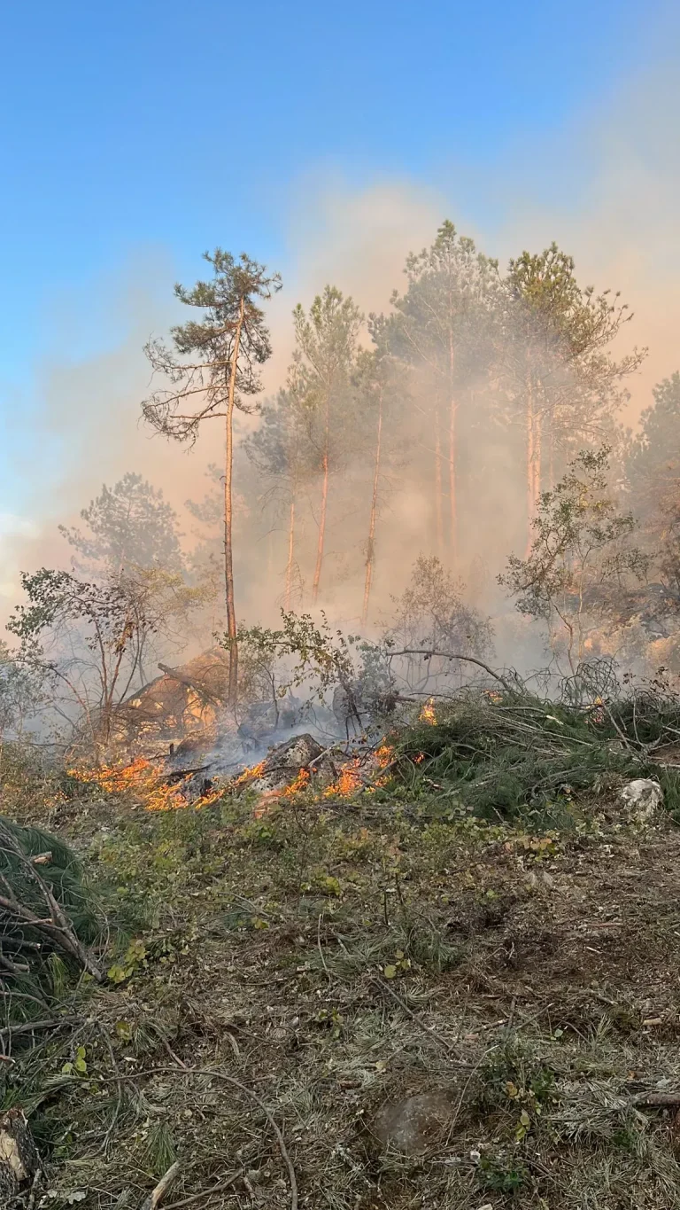 Karabük Orman Yangını: Korku Dolu Anlar ve Müdahale