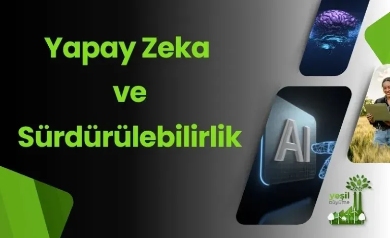 İşletmeler İçin Yapay Zeka Stratejisi: Başlangıç ve Adımlar